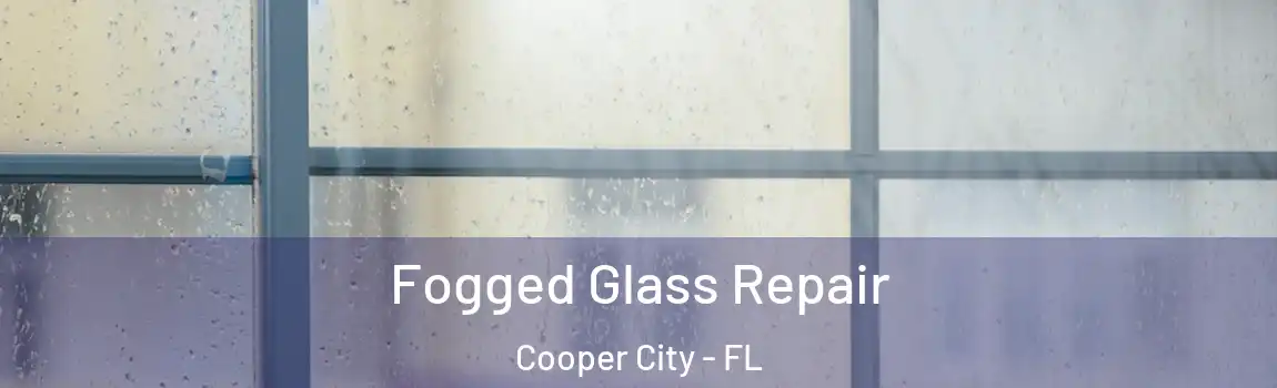  Fogged Glass Repair Cooper City - FL
