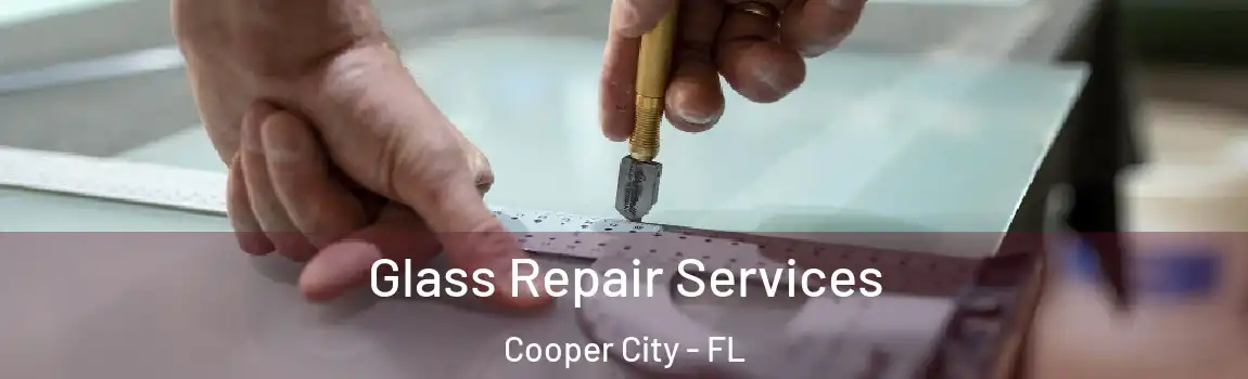 Glass Repair Services Cooper City - FL