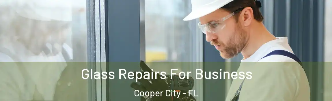  Glass Repairs For Business Cooper City - FL