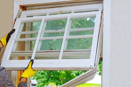 Window Replacement in Cooper City